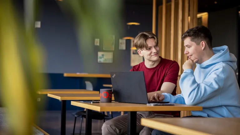 Doi angajați colaborează la un laptop, promovând parteneriatul și corectitudinea la locul de muncă.
